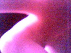 DIGITALE CAMERA OBSCURA fingerp5