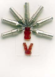 GUMMIBAERENBILD  GEHIRNWAESCHE