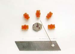 GUMMIBAERENBILD DIE U. E. SKALA