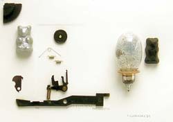 GUMMIBRENBILD URSUS ELASTICUS PHOTOGRAFIS