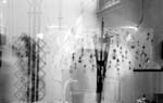 AUSSTELLUNG LINZ